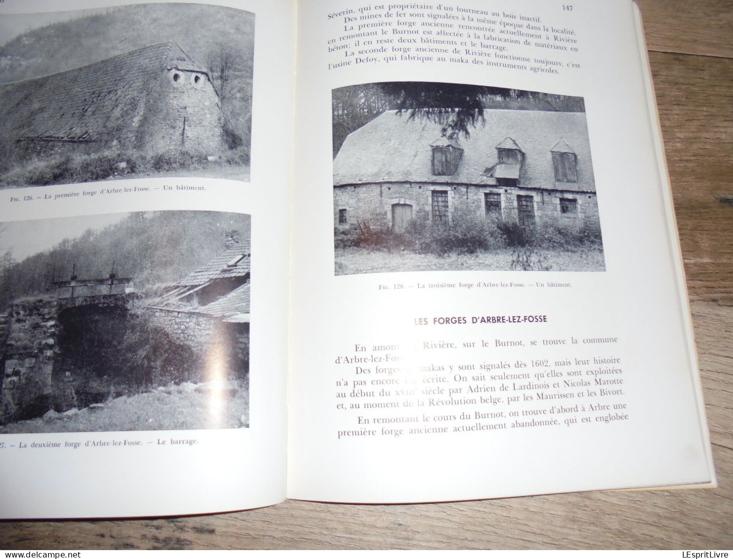 FORGES ANCIENNES Régionalisme Industrie du Fer Fenderie Maka Hauts Fourneaux Lobbes Orval Couvin Vennes Yvoir Muno Gaume