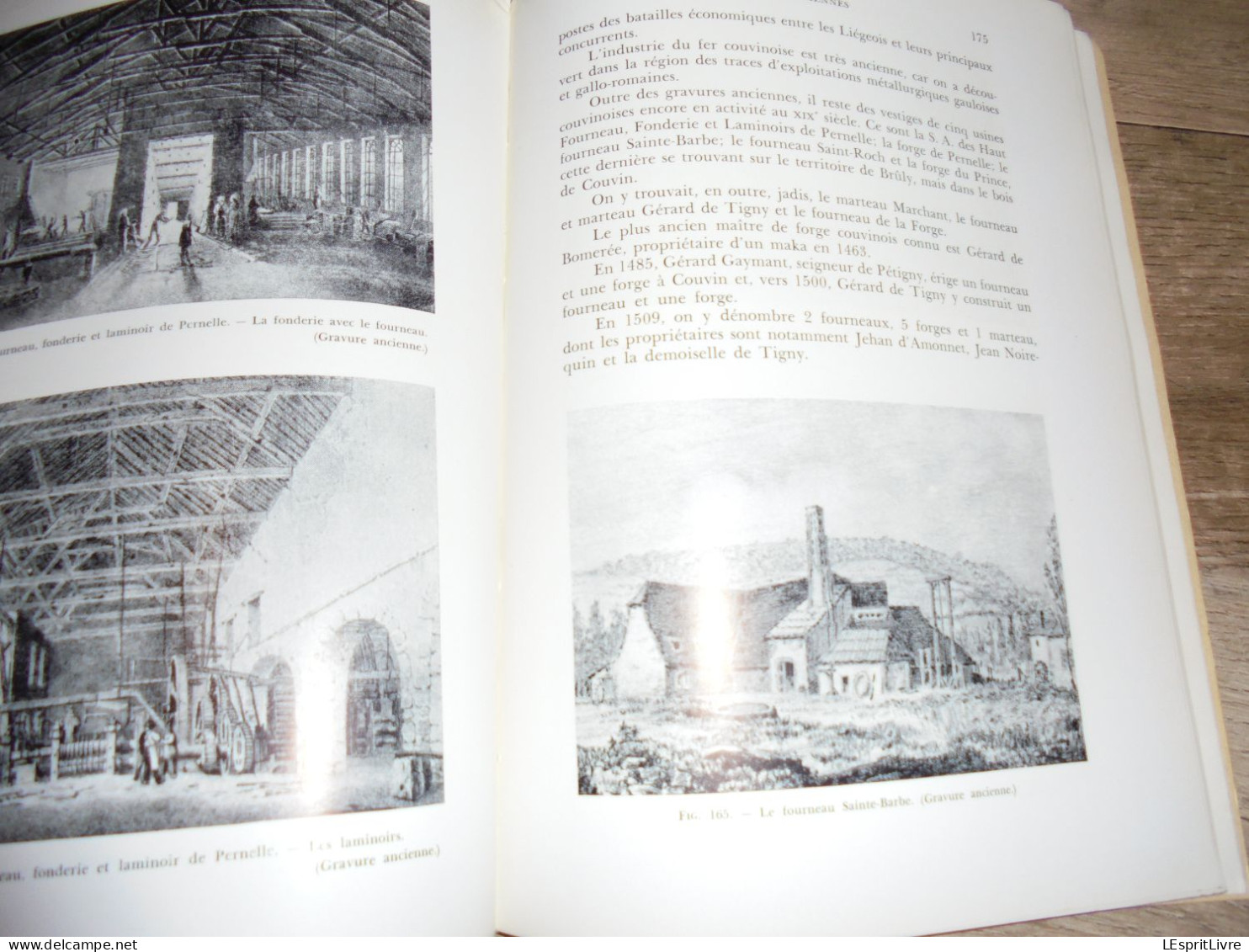 FORGES ANCIENNES Régionalisme Industrie du Fer Fenderie Maka Hauts Fourneaux Lobbes Orval Couvin Vennes Yvoir Muno Gaume