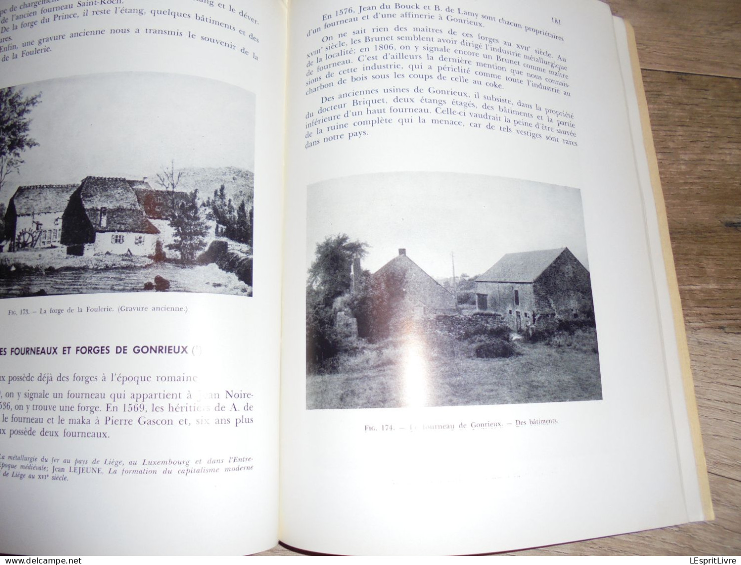 FORGES ANCIENNES Régionalisme Industrie du Fer Fenderie Maka Hauts Fourneaux Lobbes Orval Couvin Vennes Yvoir Muno Gaume