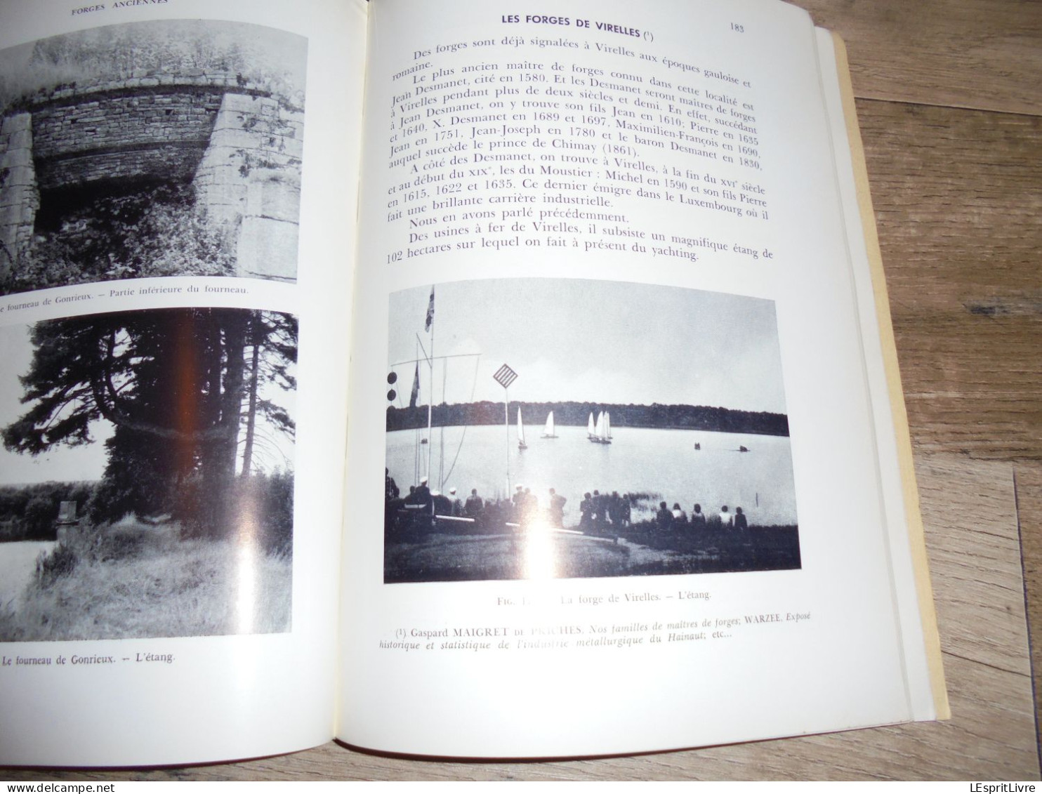 FORGES ANCIENNES Régionalisme Industrie du Fer Fenderie Maka Hauts Fourneaux Lobbes Orval Couvin Vennes Yvoir Muno Gaume