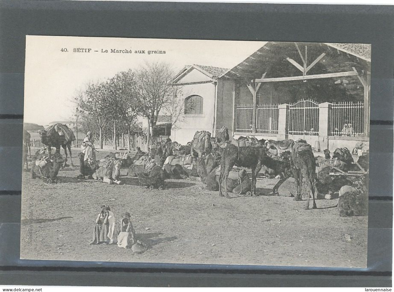 ALGÉRIE - SETIF - LE MARCHÉ AUX GRAINS - Setif