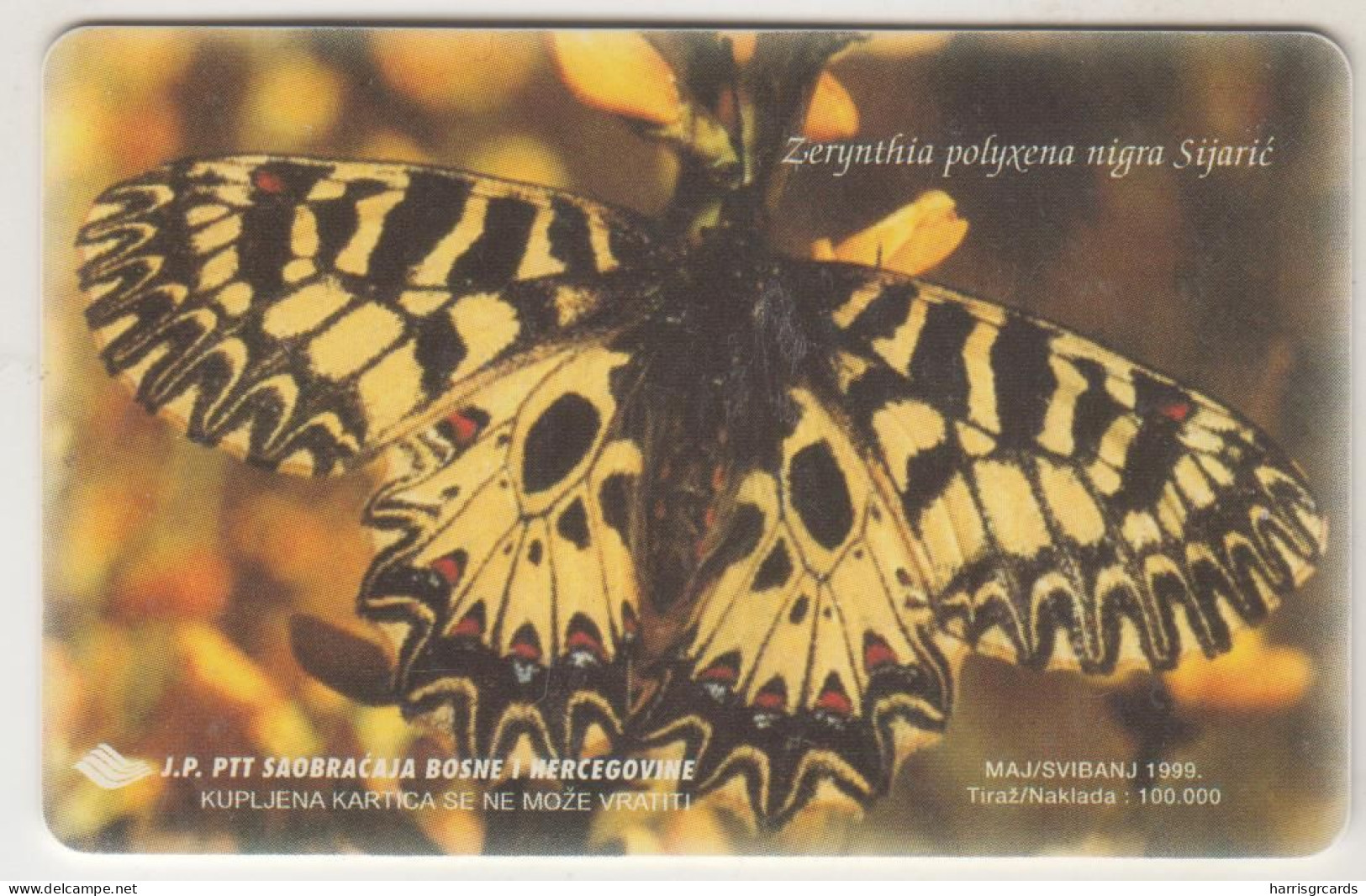 BOSNIA - PTT BIH, Butterfly Zerynthia Polyxena, 200 U, Tirage 100,000, Used - Bosnie