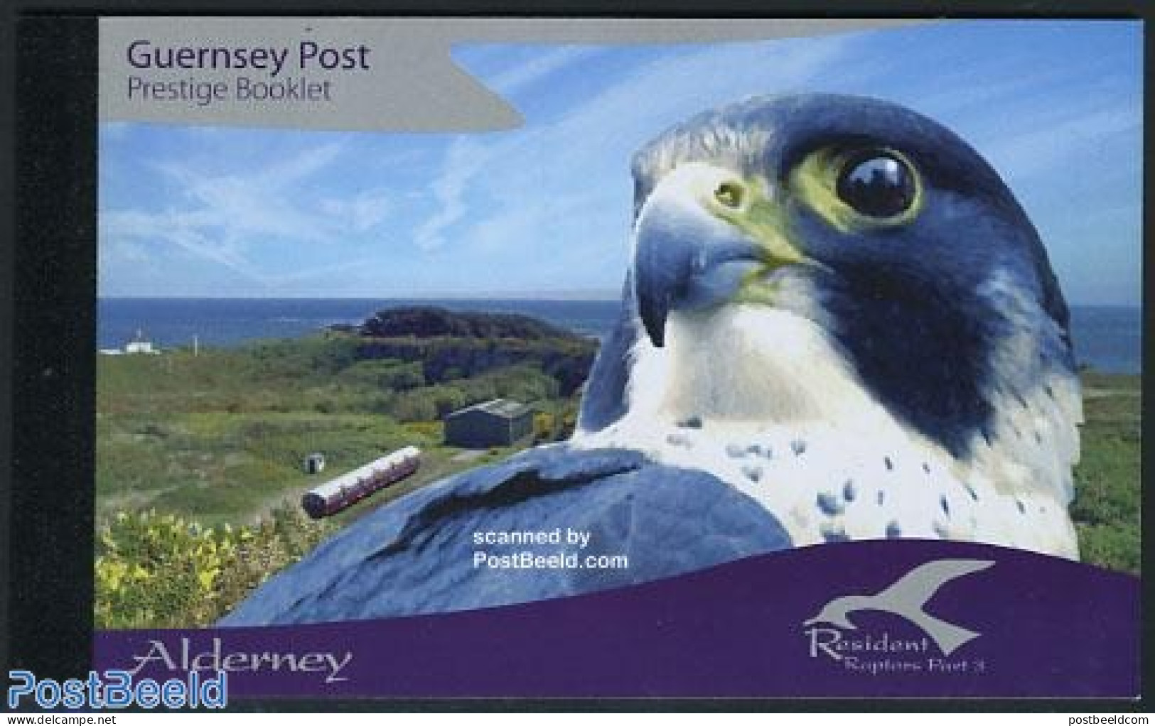 Alderney 2008 Resident Raptors Prestige Booklet, Mint NH, Nature - Various - Birds - Birds Of Prey - Owls - Stamp Book.. - Non Classés