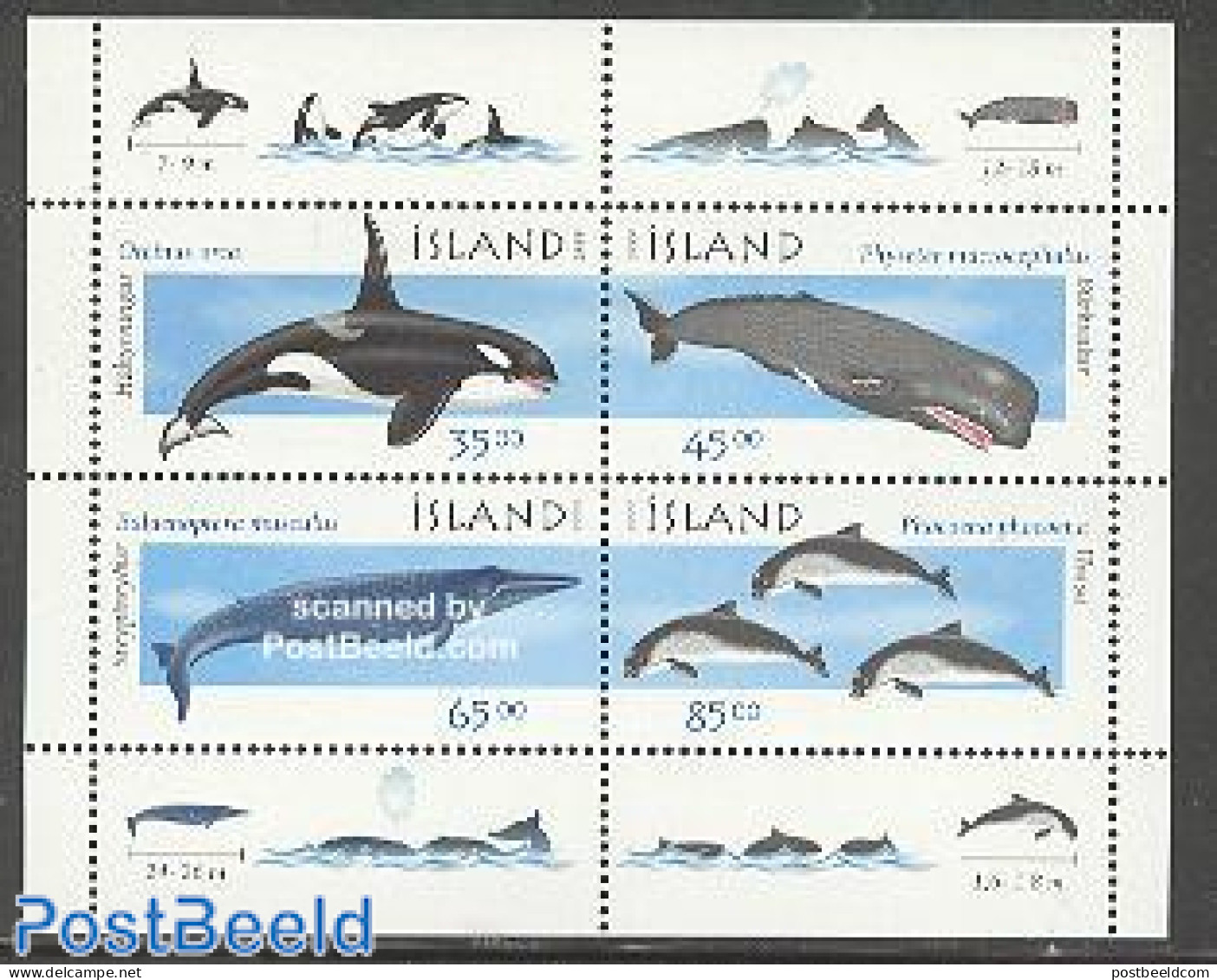 Iceland 1999 Whales S/s, Mint NH, Nature - Sea Mammals - Ungebraucht
