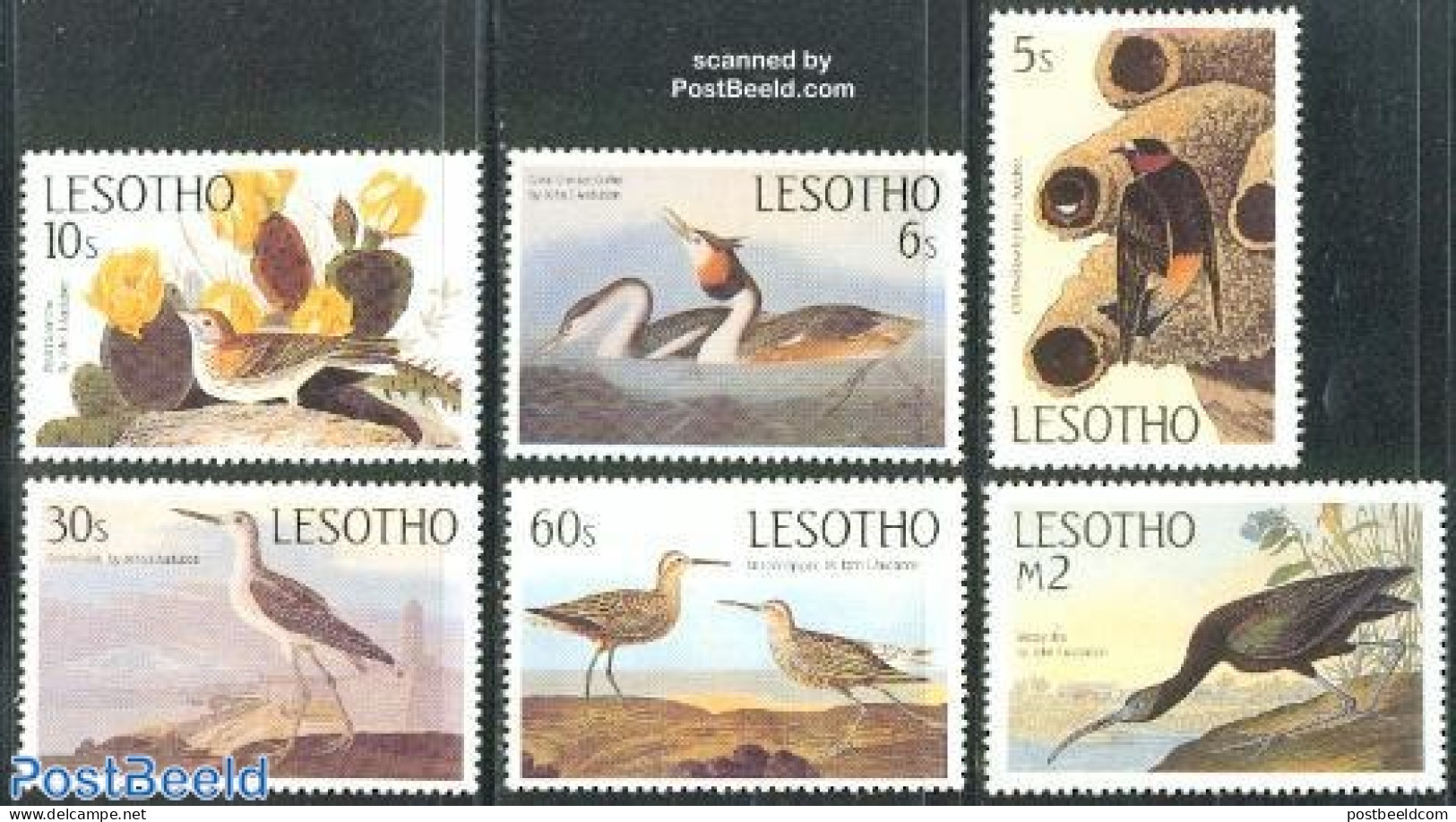 Lesotho 1985 J.J. Audubon 6v, Mint NH, Nature - Birds - Lesotho (1966-...)