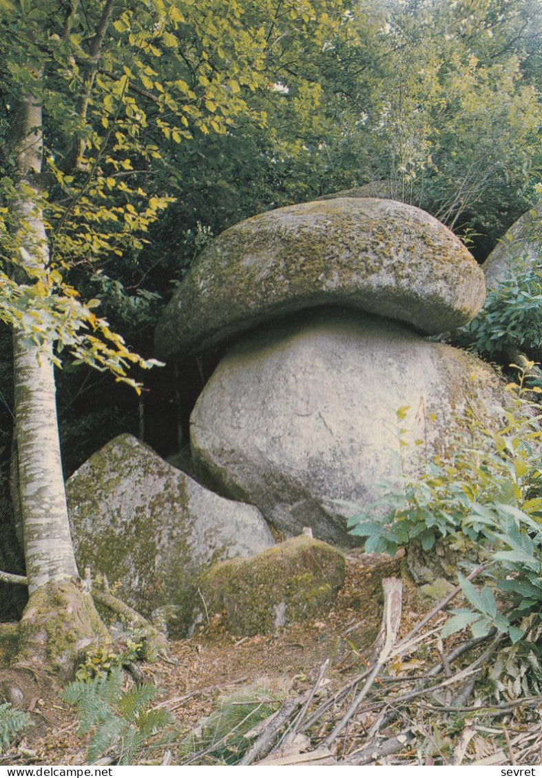 LE CHAMPIGNON DES MONTS DE BLOND (87) - Dolmen & Menhirs