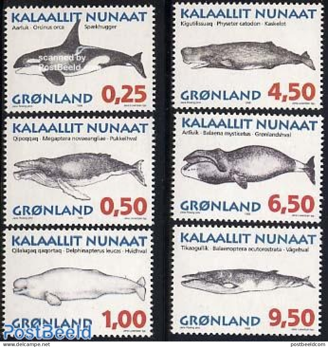 Greenland 1996 Whales 6v, Mint NH, Nature - Sea Mammals - Neufs