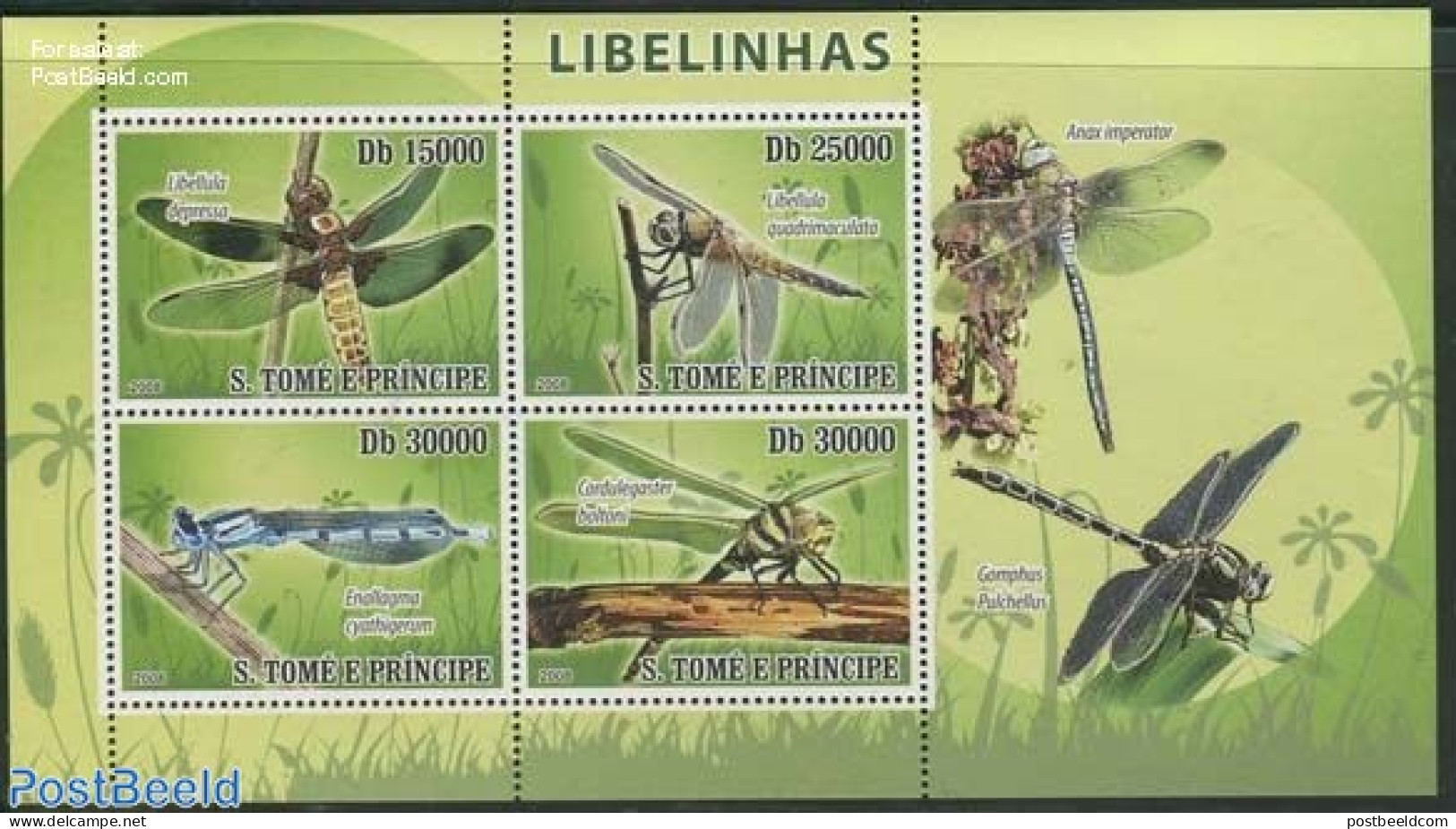 Sao Tome/Principe 2008 Dragonflies 4v M/s, Mint NH, Nature - Insects - Sao Tomé Y Príncipe