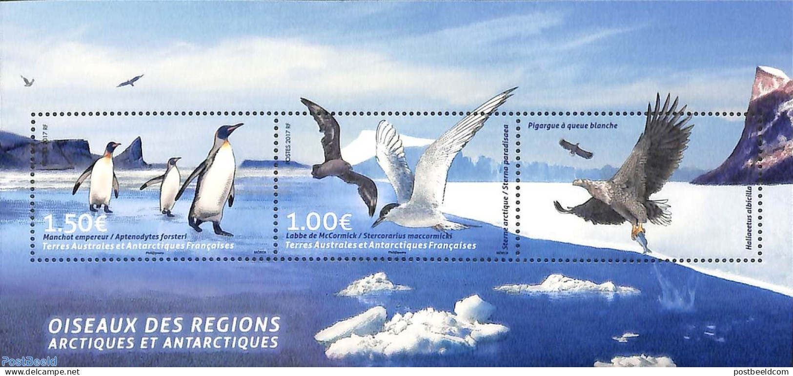 French Antarctic Territory 2017 Birds S/s, Joint Issue With Greenland, Mint NH, Nature - Various - Birds - Penguins - .. - Ongebruikt