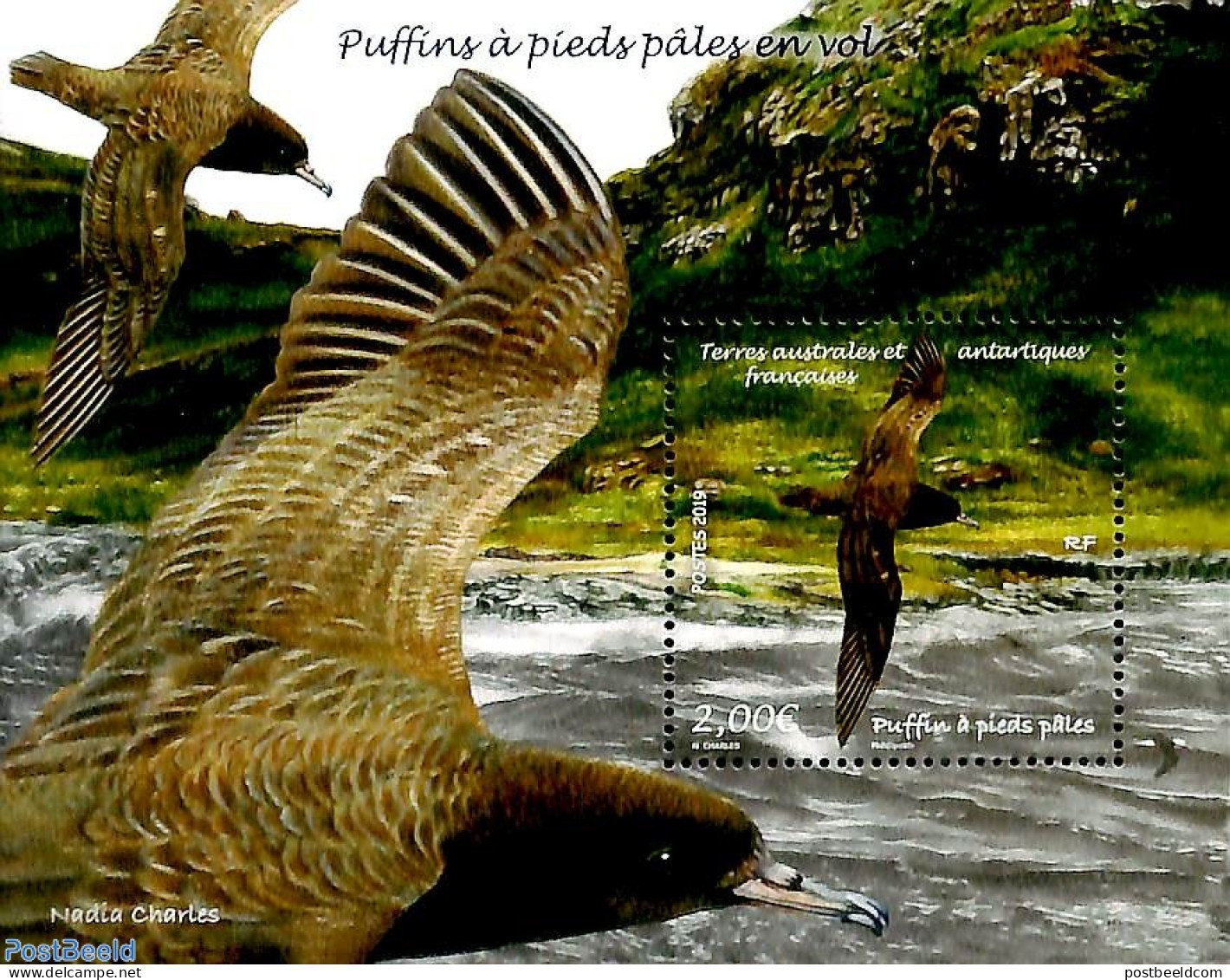 French Antarctic Territory 2019 Puffins A Pieds Pales En Vol S/s, Mint NH, Nature - Birds - Ongebruikt