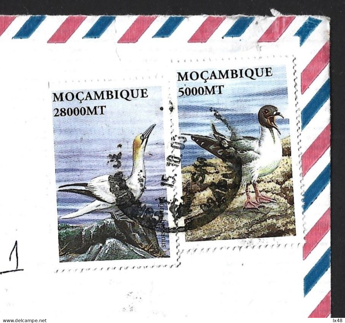 Mozambique Bird Stamps. Morus Bassanus, Gannet. Creagrus Furcatus Seagull. Vogelpostzegels Uit Mozambique. Morus Bassanu - Oies