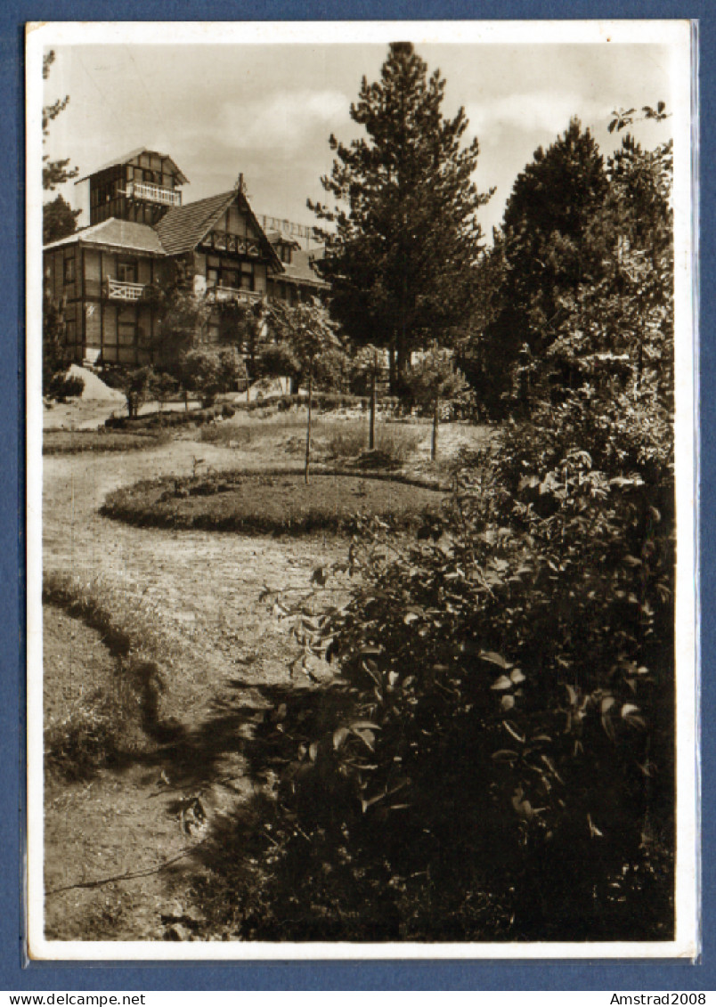 1950 -  VILLAGGIO MANCUSO ( SILA PICCOLA ) - PARTICOLARE DEL GRANDE ALBERGO DELLE FATE - ITALIE - Catanzaro