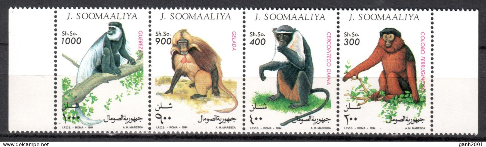 Somalia 1994 / Fauna Mammals Monkeys MNH Mamíferos Monos Säugetiere / Cu21823  22-39 - Apen