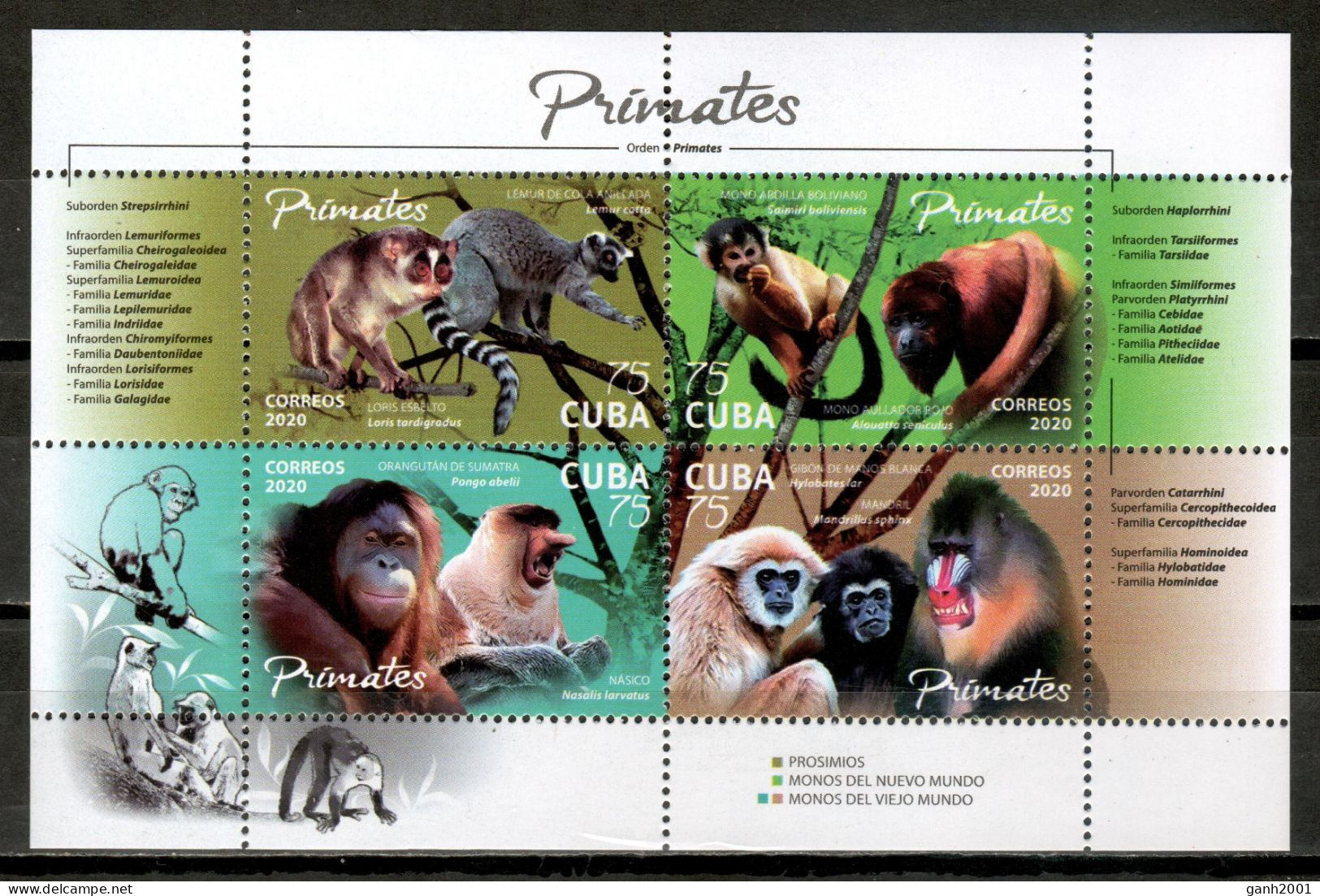 Cuba 2020 / Fauna Mammals Monkeys MNH Mamíferos Monos Säugetiere / Hz45  C4-32 - Apen