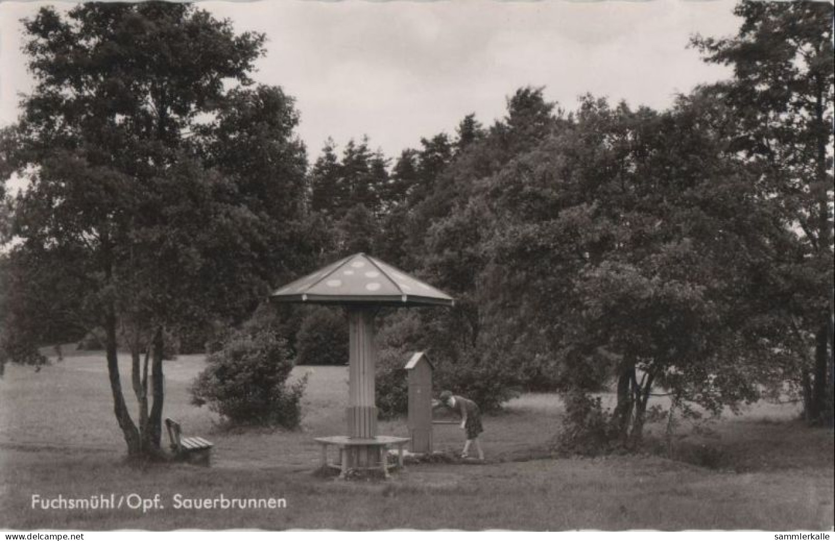 71388 - Fuchsmühl - Sauerbrunnen - Ca. 1960 - Tirschenreuth