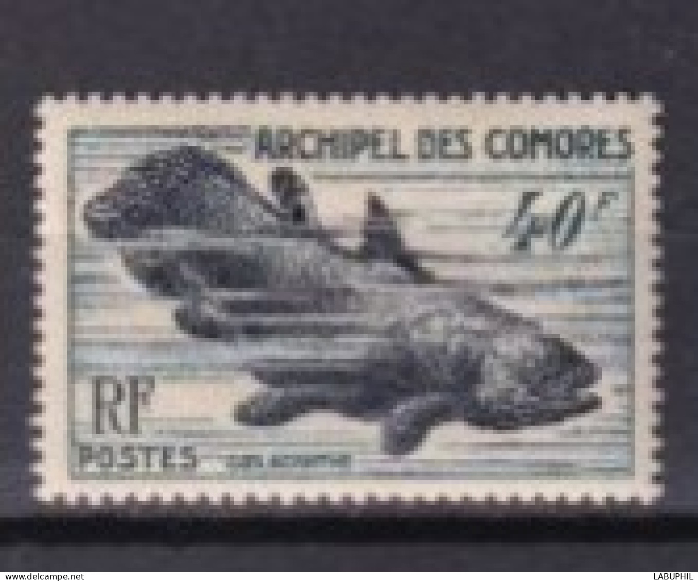 COMORES  NEUF MNH **1954 Poisson - Unused Stamps