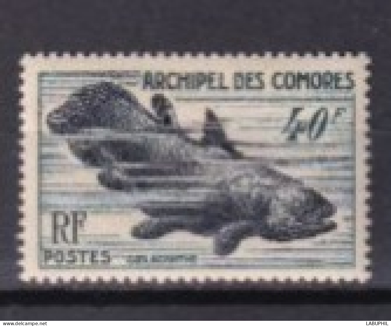 COMORES  NEUF MNH **1954 Poisson - Neufs