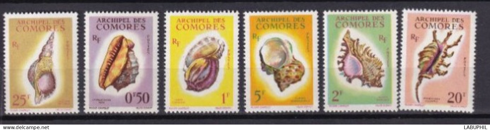 COMORES  NEUF MNH **1962 Coquillages - Ungebraucht