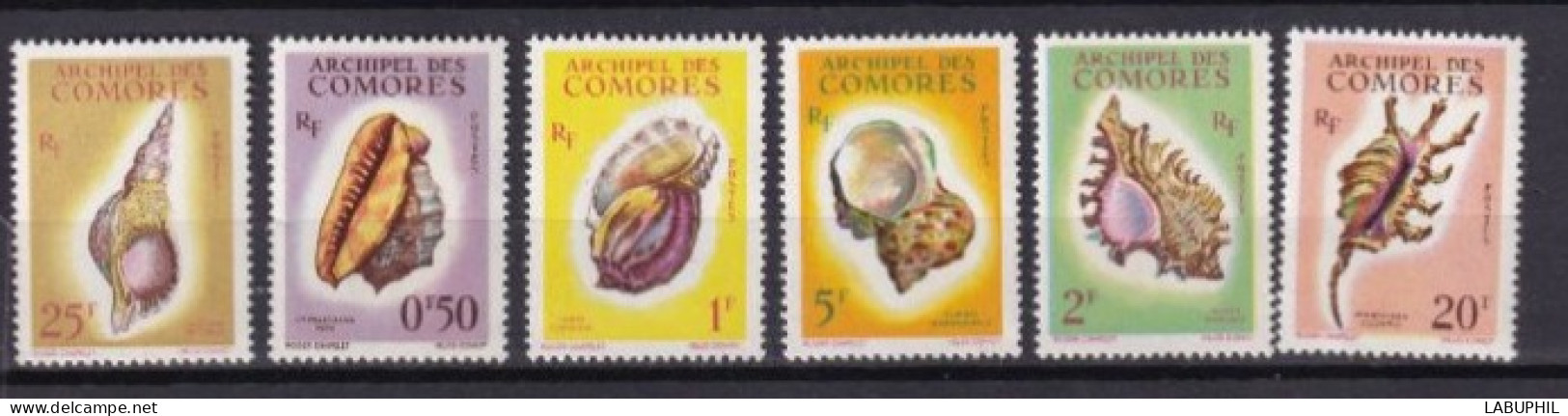 COMORES  NEUF MNH **1962 Coquillages - Neufs