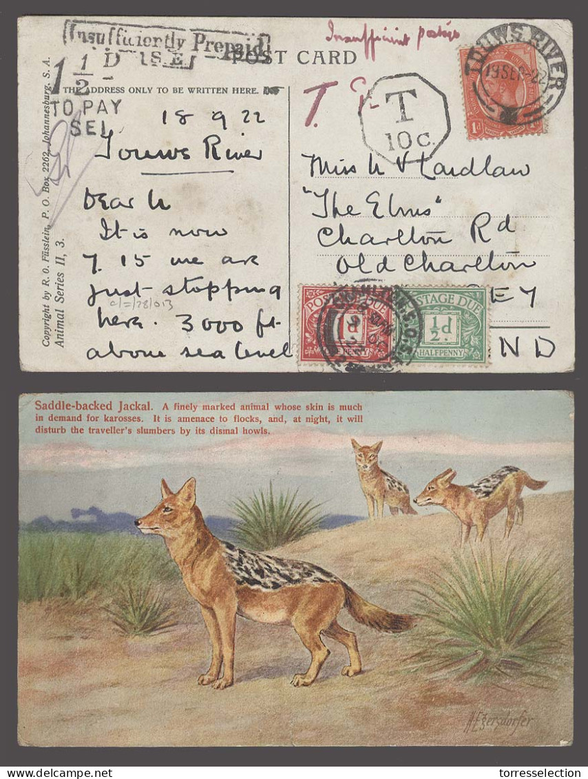 SOUTH AFRICA. 1922 (18 Sept). Touws River - UK / Old Charlton / Surrey. Fkd 1d Card Taxed Several Aux Cachets 2x GP Pdue - Altri & Non Classificati