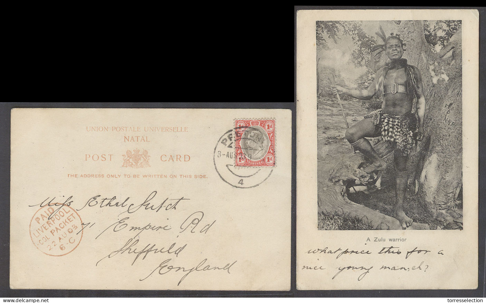 SOUTH AFRICA. 1903. Pretoria - UK. Fkd Zulu Warrior Photo Card. VF. - Altri & Non Classificati