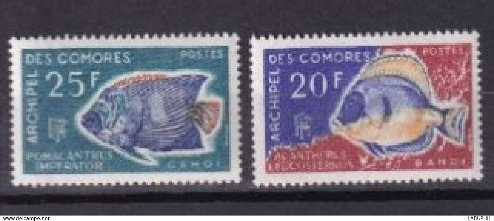 COMORES  NEUF MNH **1968 Poissons - Unused Stamps