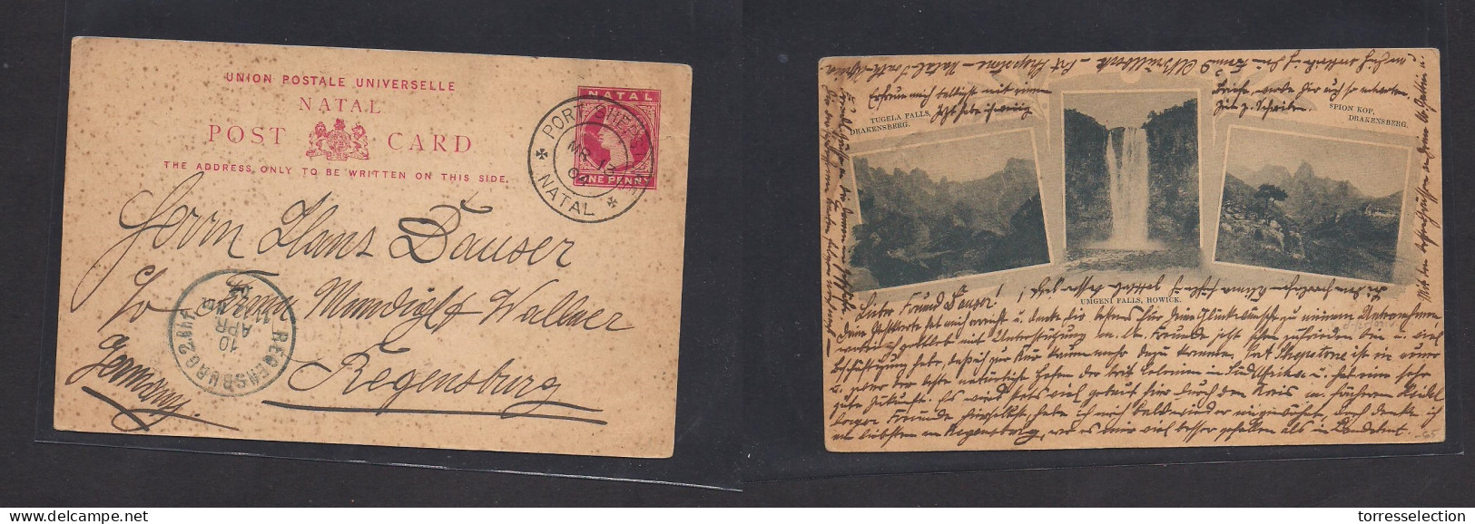 SOUTH AFRICA. 1904 (13 March) Natal, Port Shepstone - Regensburg, Germany (10 Apr) 1d Rose Stationary Illustrated Card.  - Other & Unclassified