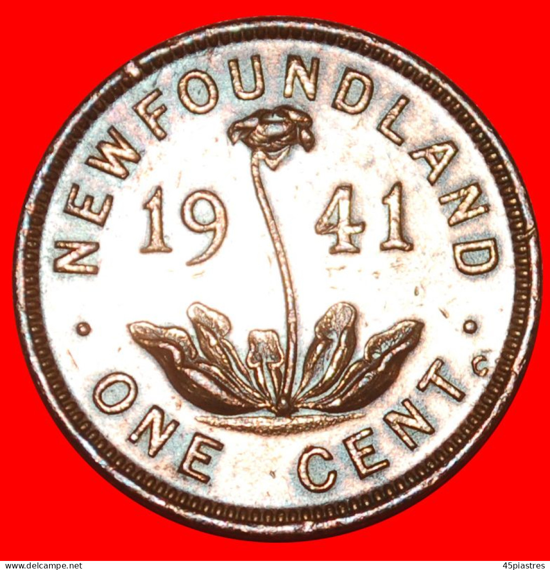 * CANADA 1940-1947: NEWFOUNDLAND  1 CENT 1941! GEORGE VI (1937-1952)  · LOW START ·  NO RESERVE! - Canada