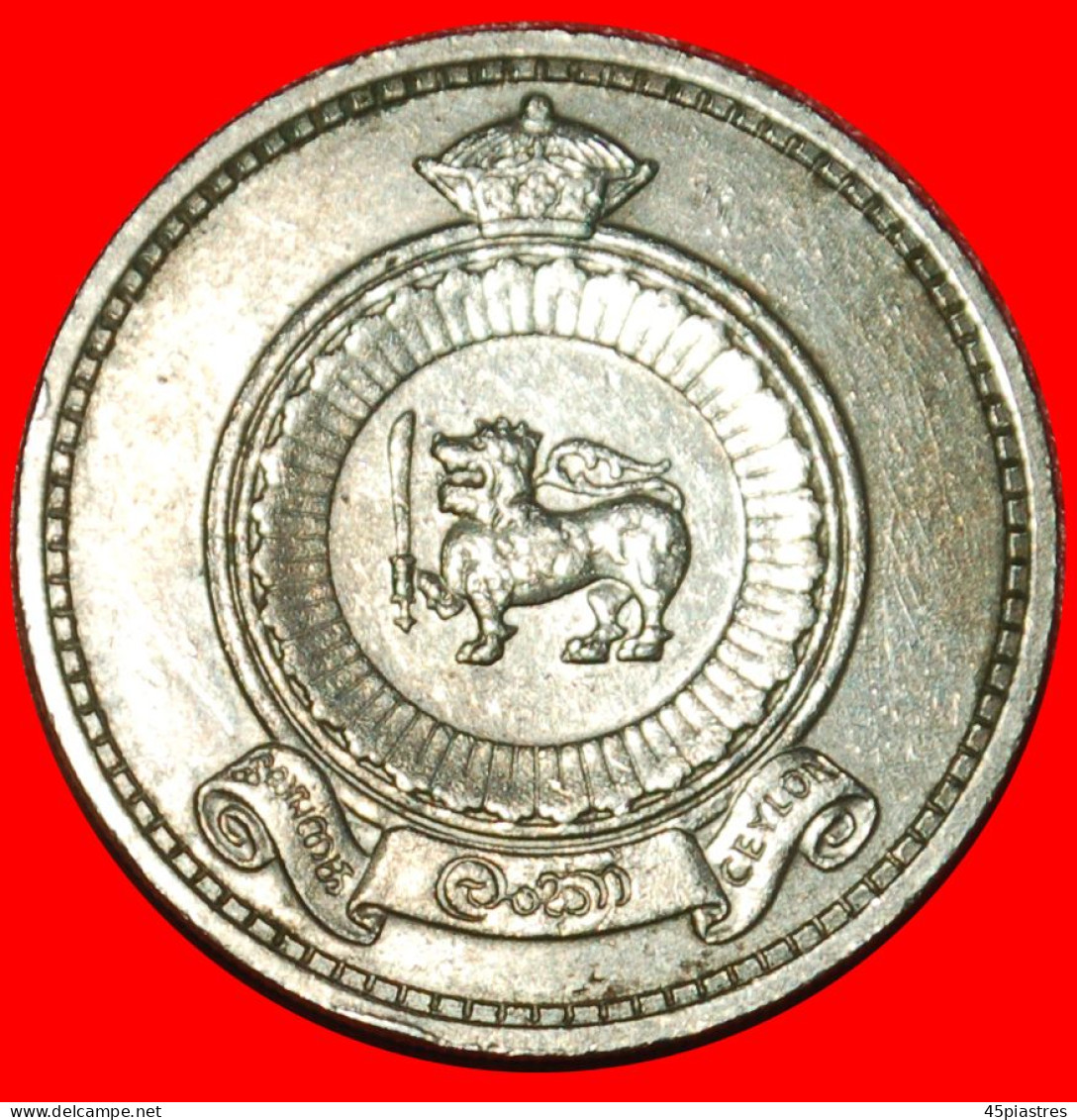 * GREAT BRITAIN (1963-1971): CEYLON  50 CENTS 1965 LION! ELIZABETH II (1953-2022) · LOW START ·  NO RESERVE! - Sri Lanka