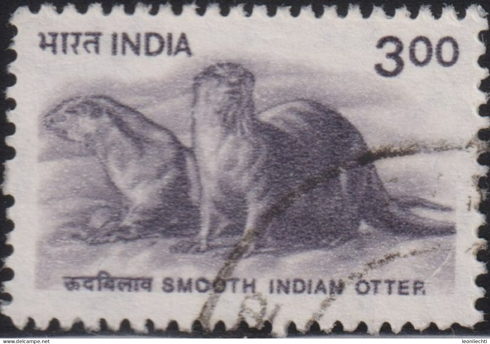 2000 Indien ° Mi:IN 1771, Sn:IN 1824, Yt:IN 1537, Sg:IN 1926, Smooth-coated Otter (Lutrogale Perspicillata), Wildlife - Usati