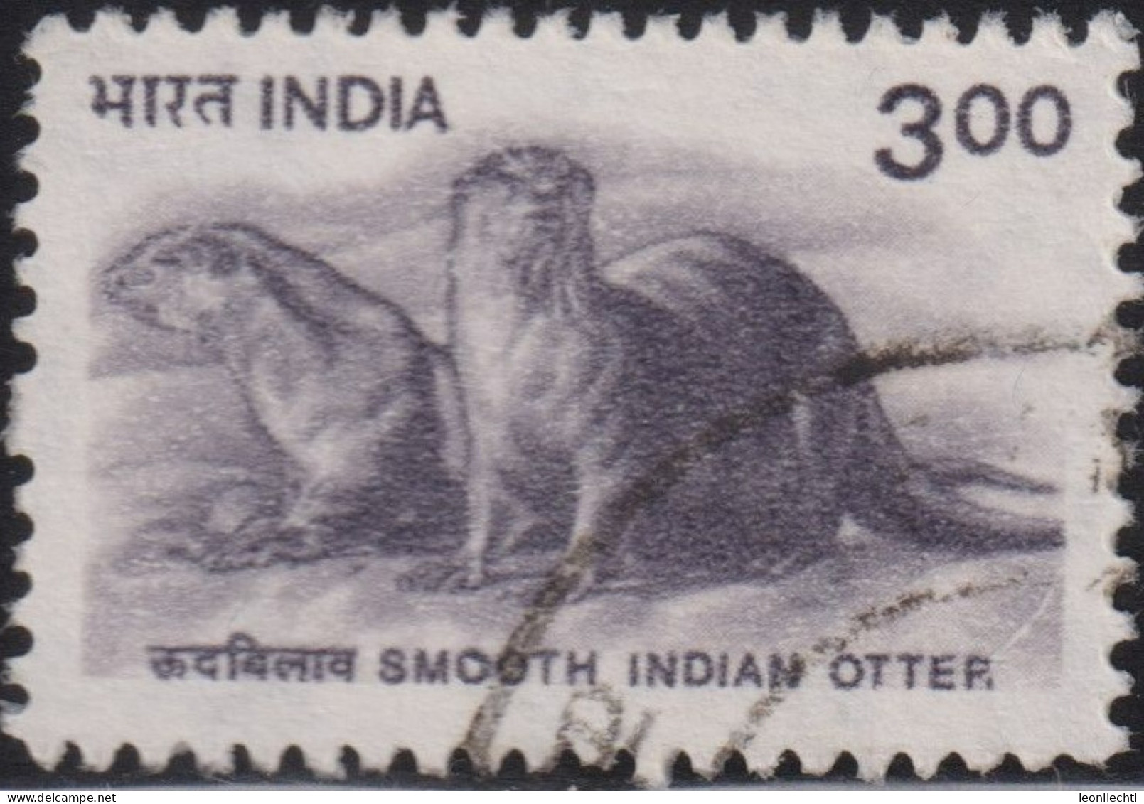 2000 Indien ° Mi:IN 1771, Sn:IN 1824, Yt:IN 1537, Sg:IN 1926, Smooth-coated Otter (Lutrogale Perspicillata), Wildlife - Gebruikt
