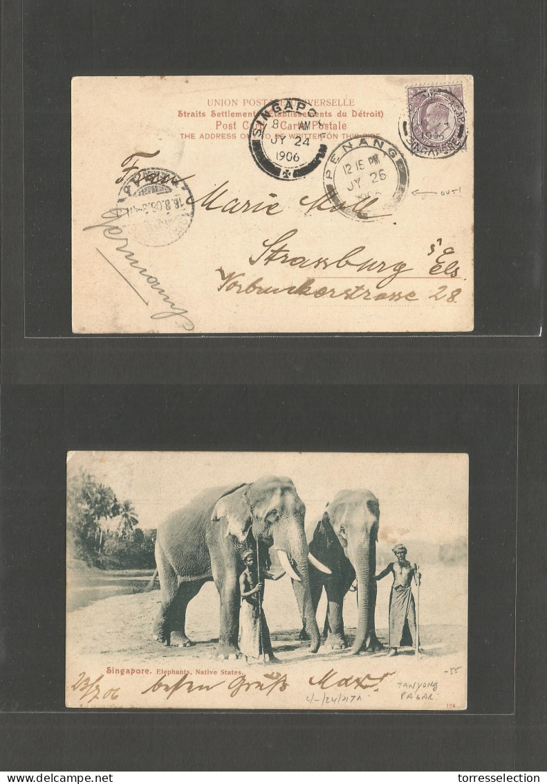 STRAITS SETTLEMENTS SINGAPORE. 1906 (July 24) Tanyong Pagar - Strassbourg (16 Aug) Via Singapore - Panama. Elephants Pos - Singapur (1959-...)
