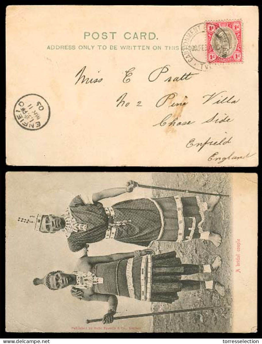 SOUTH AFRICA. 1905. Transvaal. Cantonment. B. O. Middleburg. Fkd PPC / Bridal Couple. - Other & Unclassified