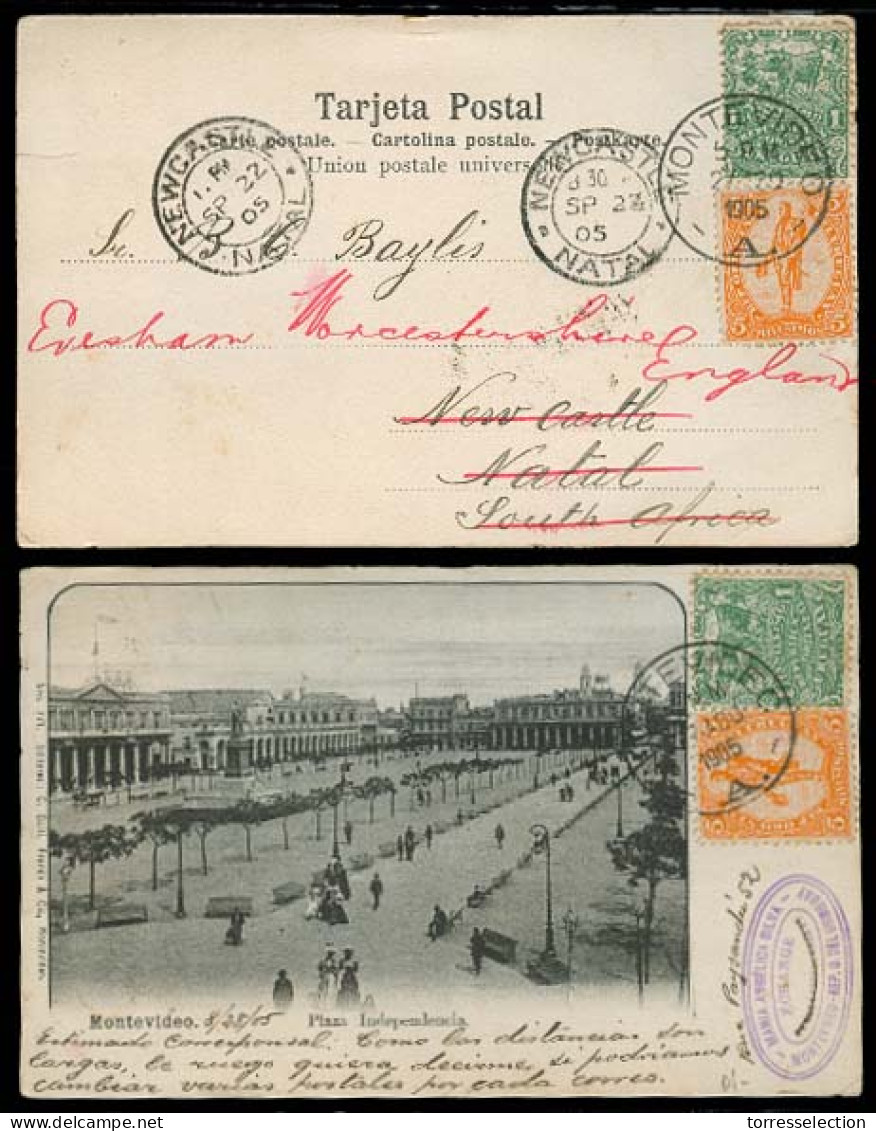 URUGUAY. 1905. Montevideo - NATAL / S. Africa, Fwded. Fkd PPC. Newcastle / Natal Cds. - Uruguay