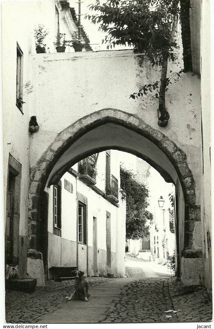 Portugal - Marvão - Arco Da Rua Do Espirito Santo - Portalegre