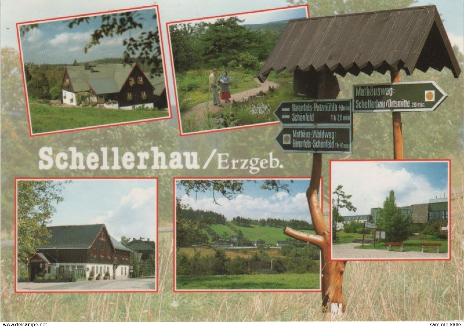 9000381 - Schellerhau (OT Von Altenberg) - 5 Bilder - Schellerhau