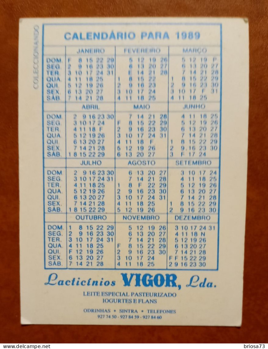 Petit Calendrier De Poche Yaourt Vigor  Portugal - Small : 1981-90