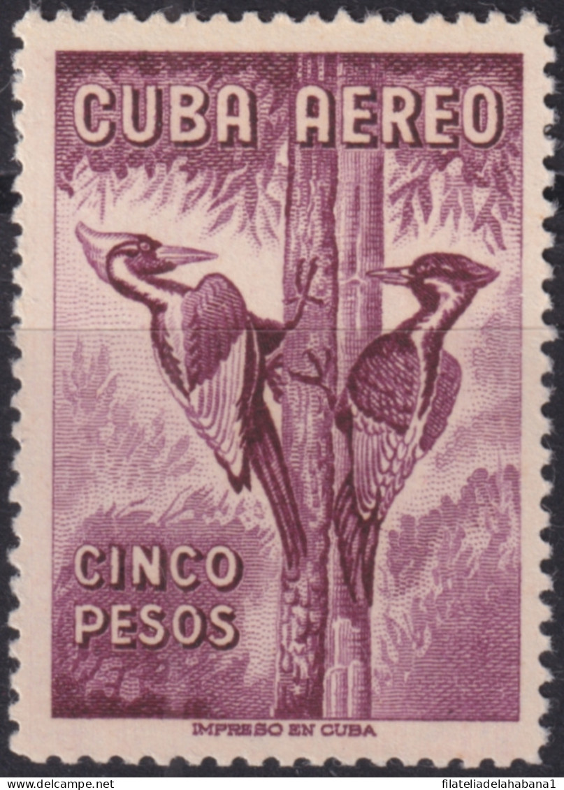 1962.275 CUBA 1962 MNH 5$ BIRD PAJAROS CARPINTEROS AVES OISEAUX VÖGEL.  - Unused Stamps