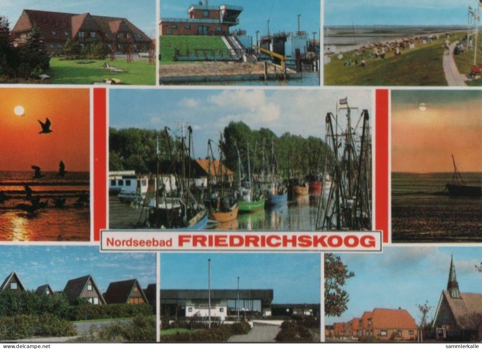 49450 - Friedrichskoog - Mit 9 Bildern - 1989 - Heide