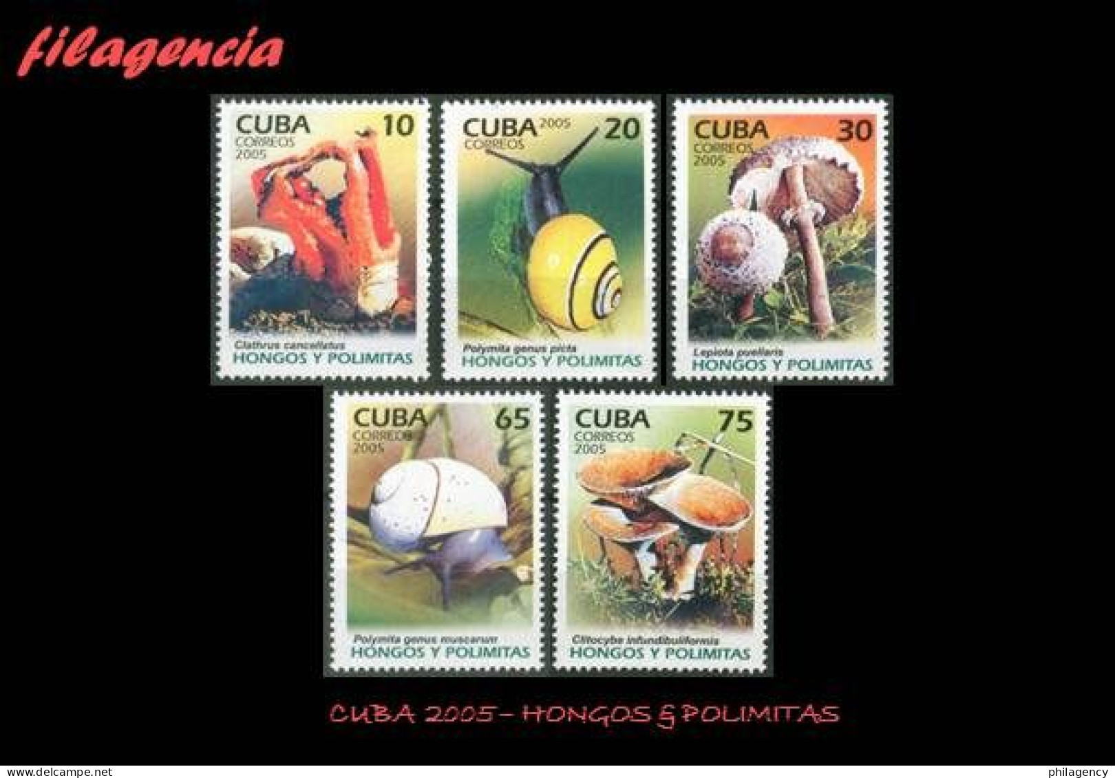 CUBA MINT. 2005-36 FLORA & FAUNA. HONGOS & POLIMITAS - Neufs