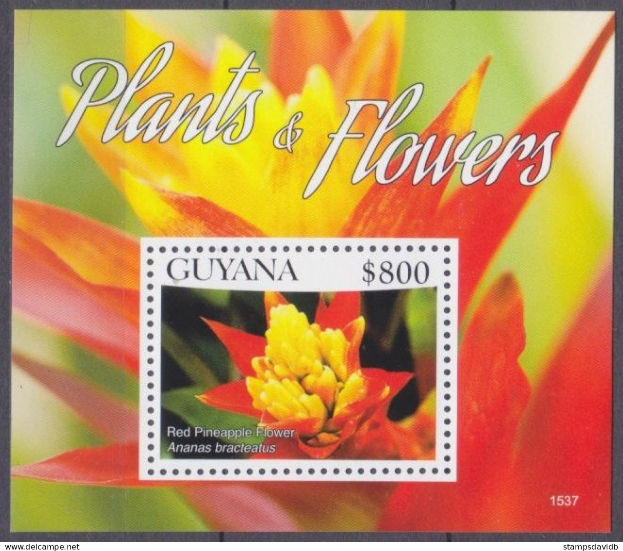 2016 Guyana 9192/B951 Flowers 9,00 € - Orchideeën