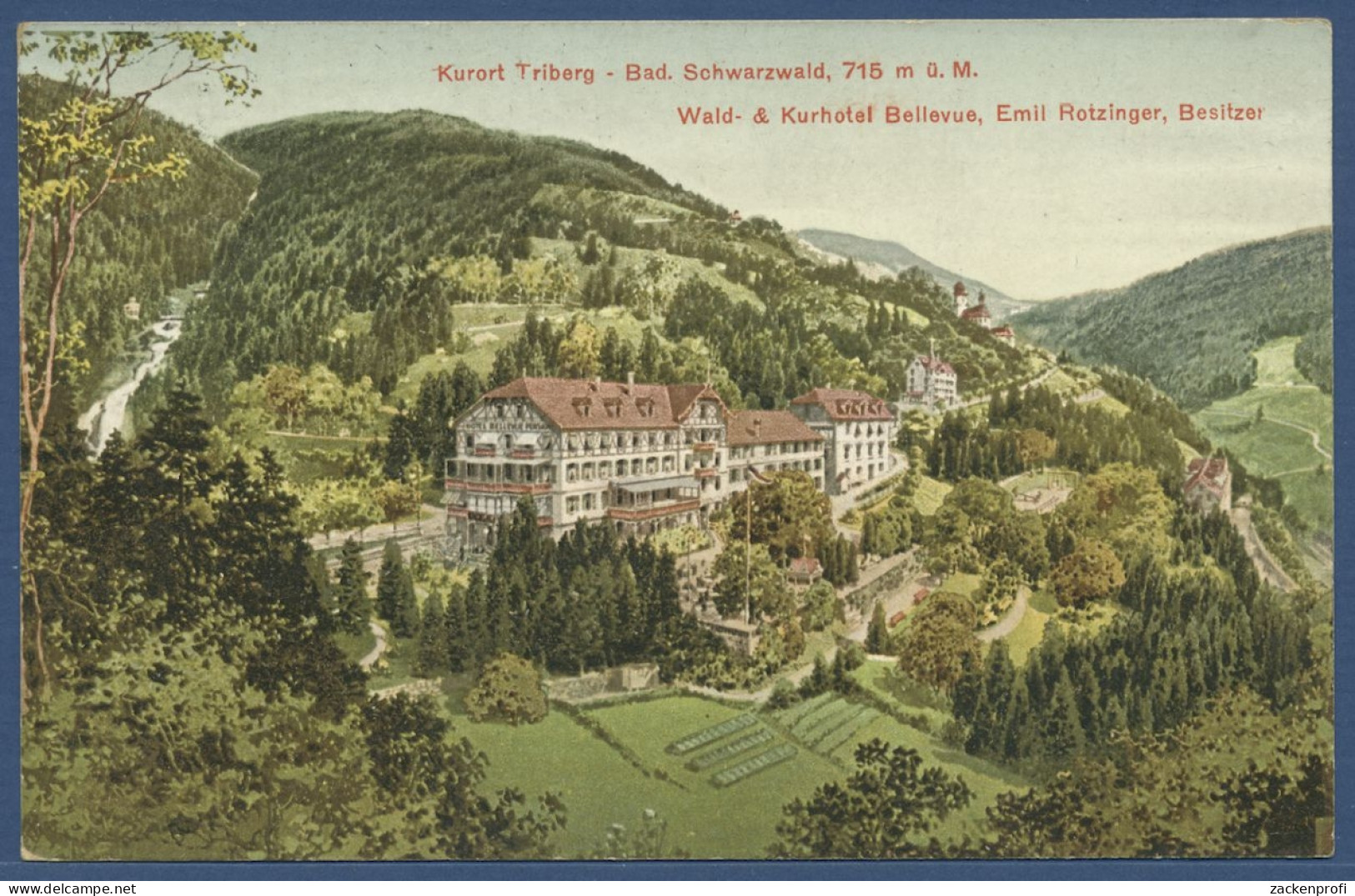 Triberg Im Schwarzwald Wald- Und Kurhotel Bellevue, Gelaufen 1908 (AK2963) - Triberg