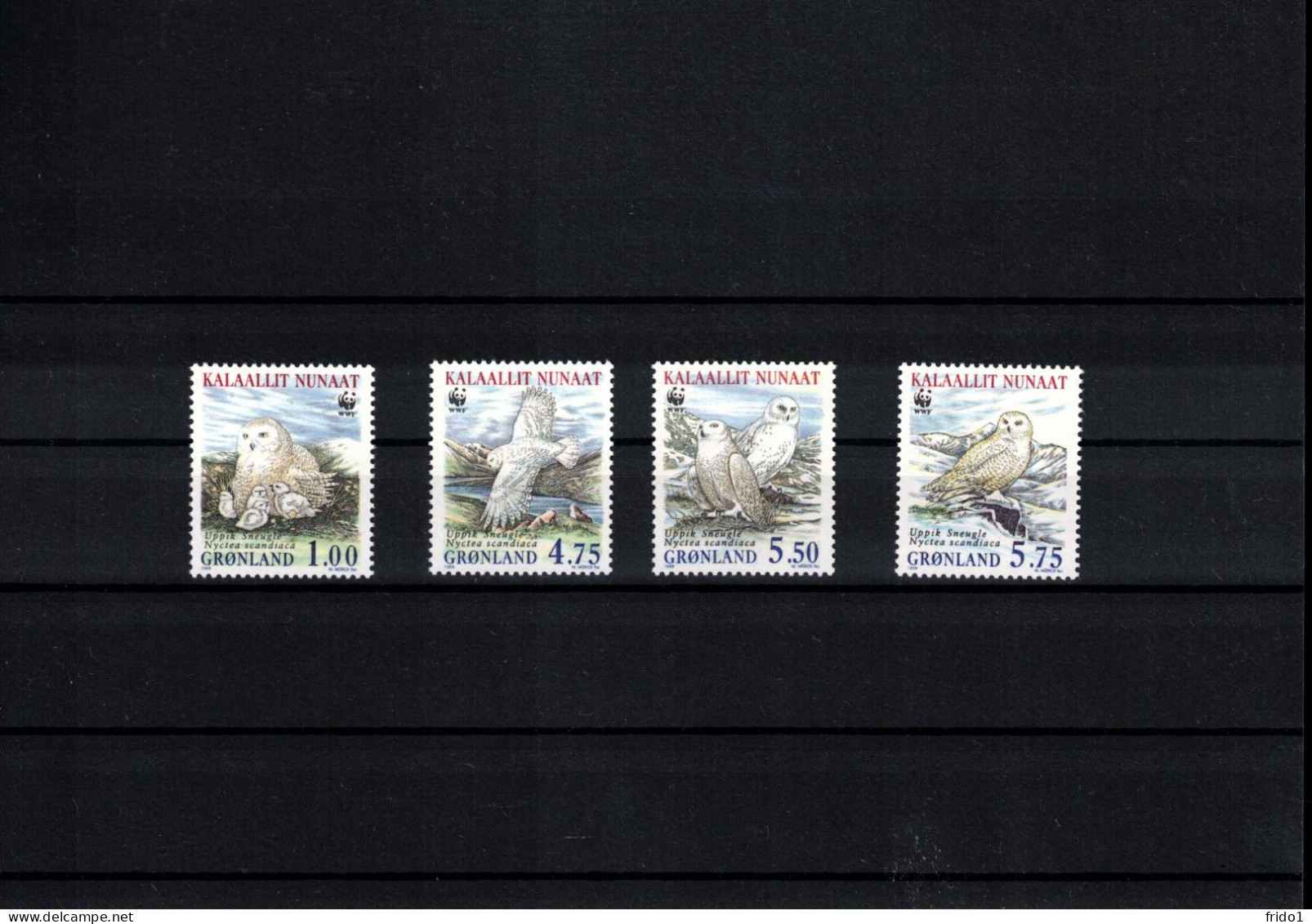 Groenland / Greenland 1999 WWF Owls Postfrisch / MNH - FDC