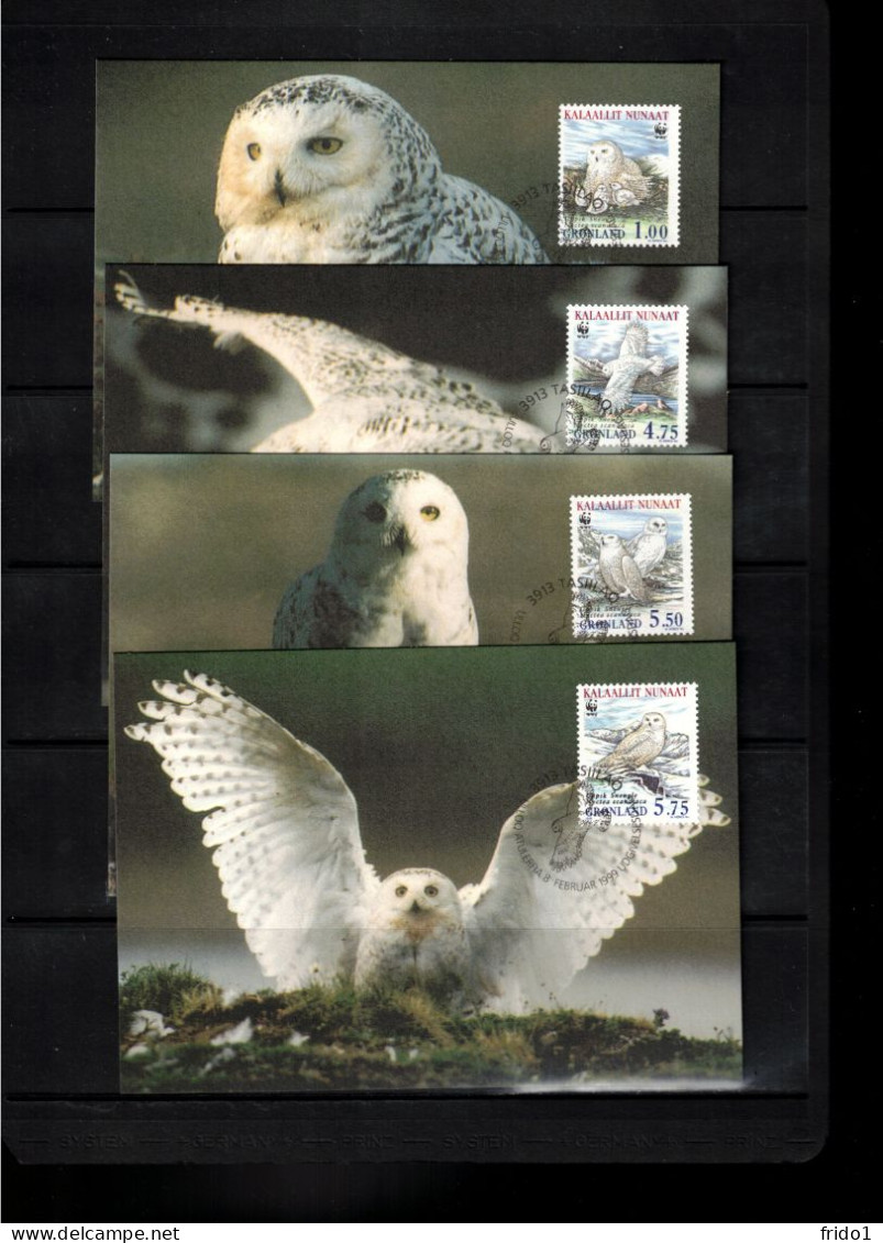 Groenland / Greenland 1999 WWF Owls Maximum Cards - FDC