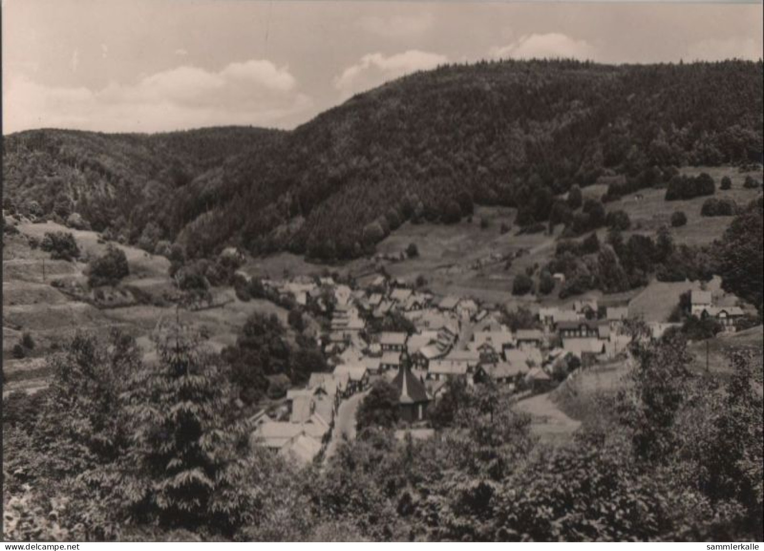 51436 - Giesshübel - Blick Von Der Schutzhütte - 1970 - Bad Gottleuba-Berggiesshuebel