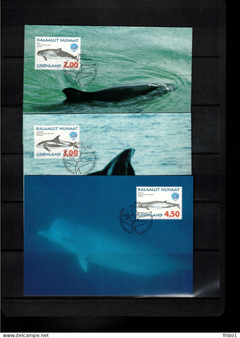 Groenland / Greenland 1998 Whales Maximum Cards - Maximumkarten (MC)