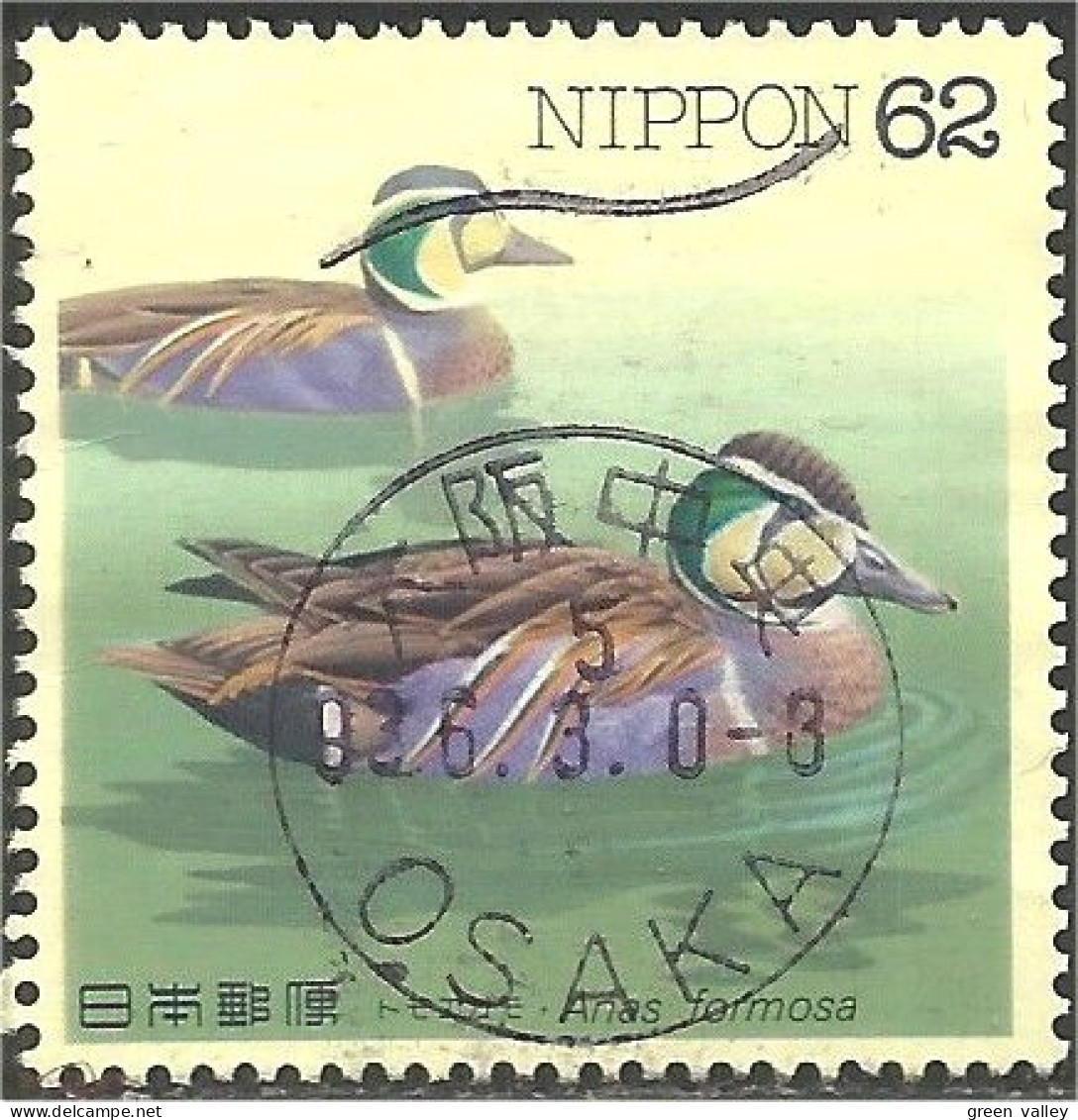 JAP-467 Japon Canards Ducks Ente Anatra Pato Eend - Entenvögel