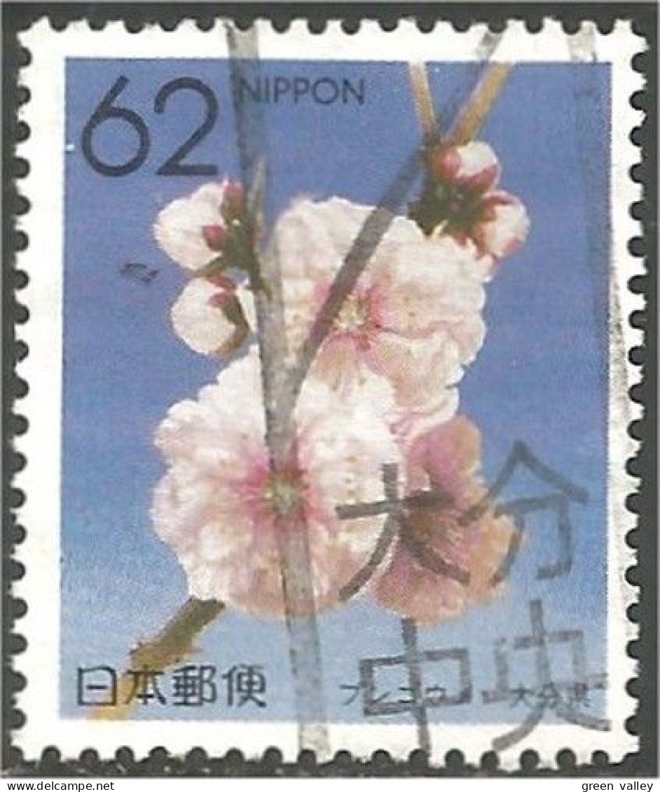 JAP-239 Japon Fleur Oita Flower Blume - Otros & Sin Clasificación