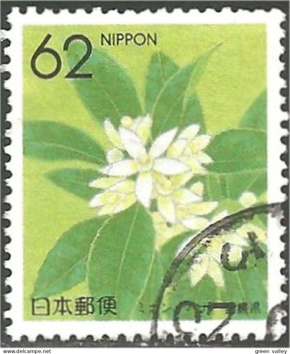 JAP-242 Japon Fleur Ehime Flower Blume - Otros & Sin Clasificación