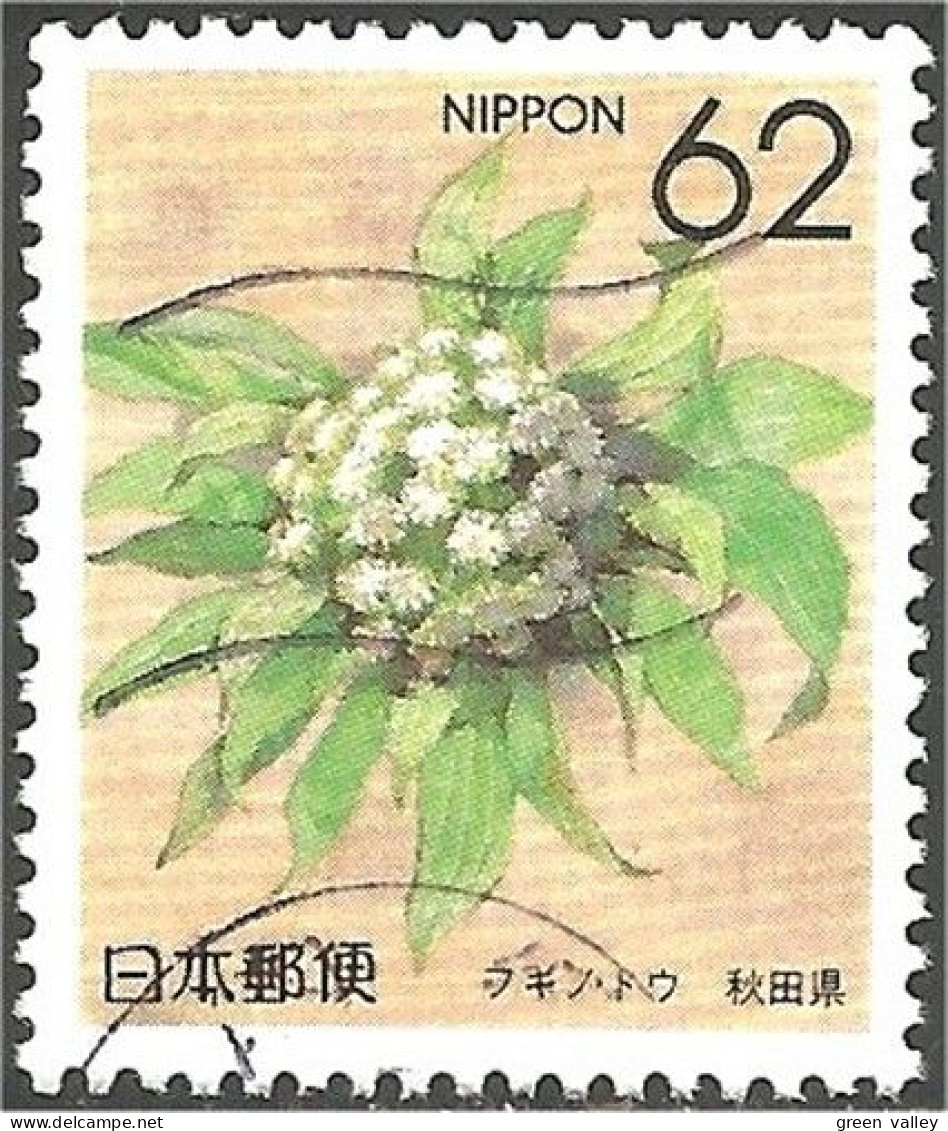 JAP-228 Japon Fleur Atika Flower Blume - Otros & Sin Clasificación